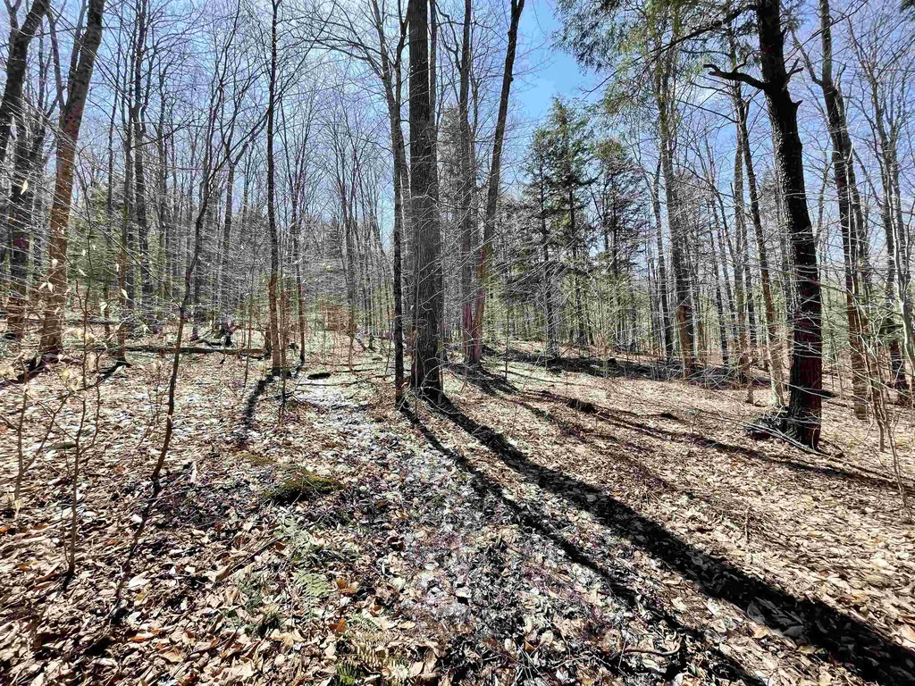 58 Foundry Road Tunbridge VT 05077