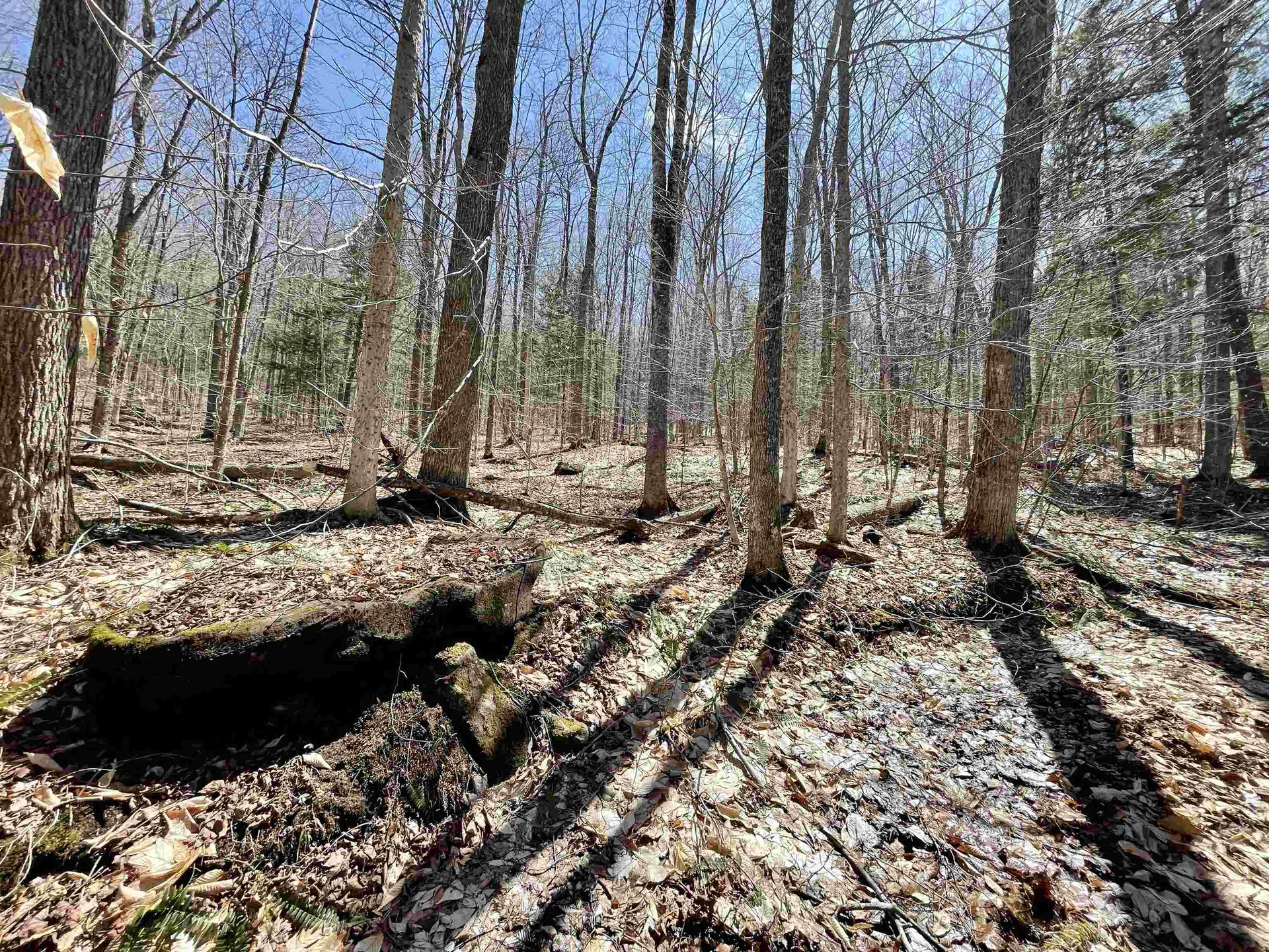 58 Foundry Road Tunbridge VT 05077