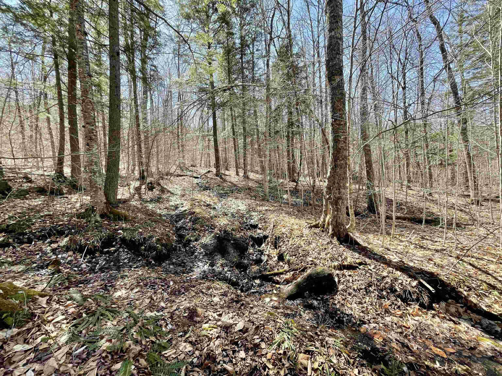 58 Foundry Road Tunbridge VT 05077