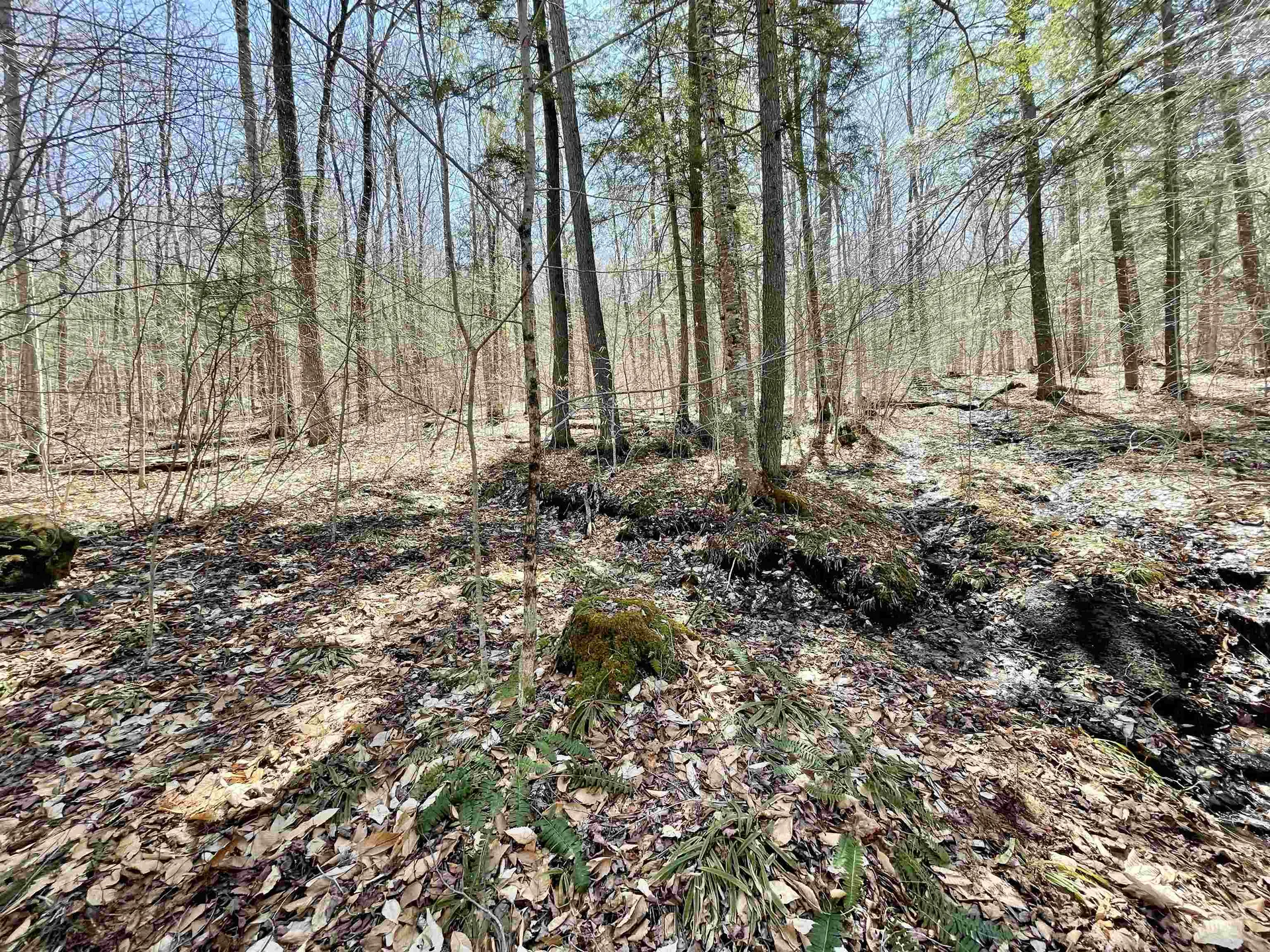 58 Foundry Road Tunbridge VT 05077
