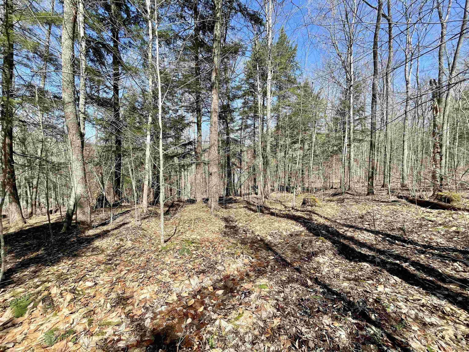 58 Foundry Road Tunbridge VT 05077