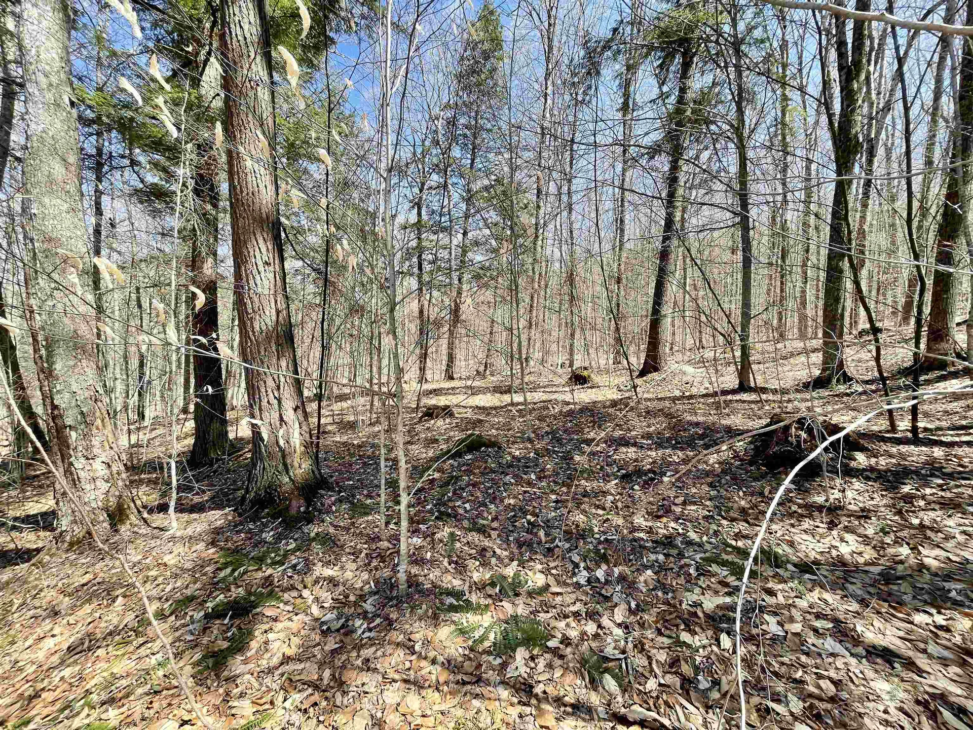 58 Foundry Road Tunbridge VT 05077