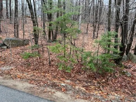 15 Blinden Drive Madison NH 03849