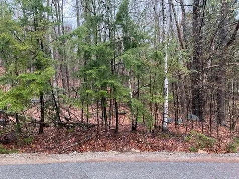15 Blinden Drive Madison NH 03849