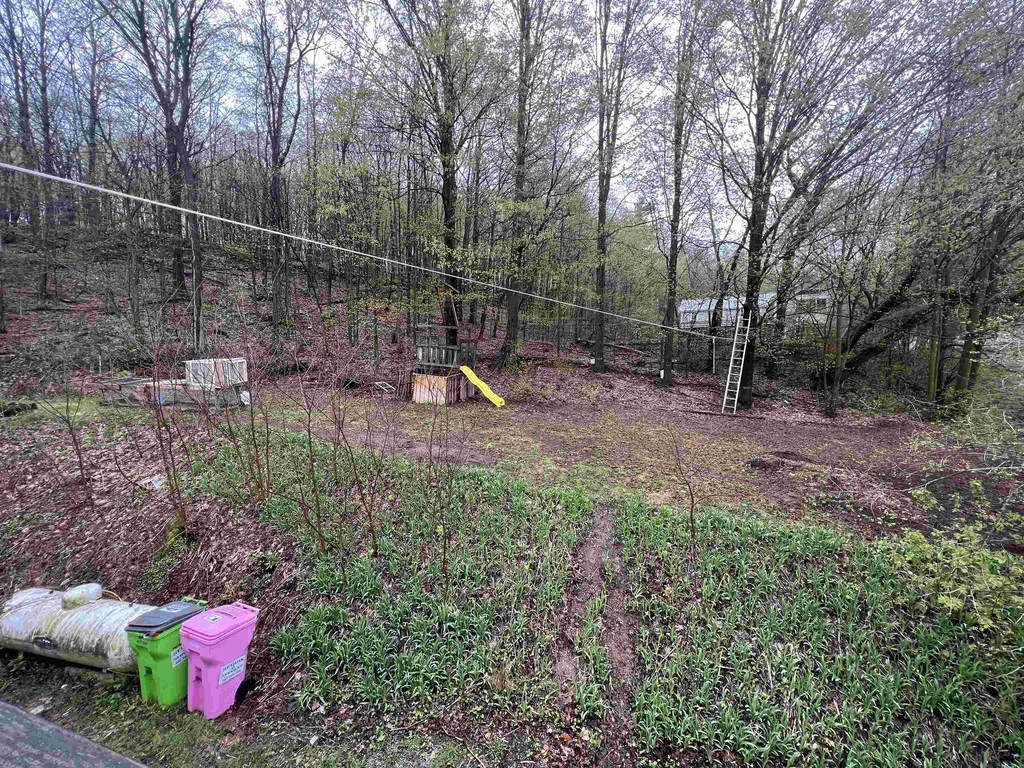 599 Main Street Orwell VT 05760