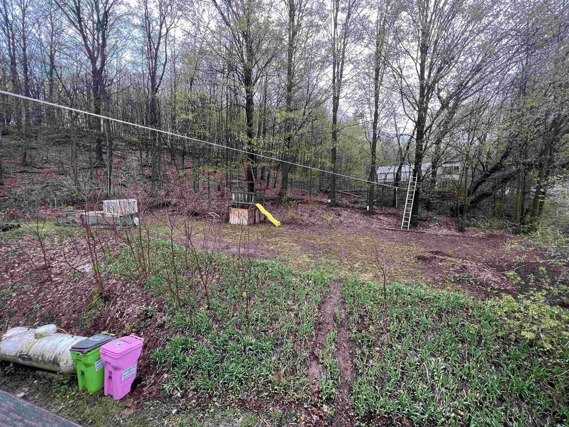 599 Main Street Orwell VT 05760