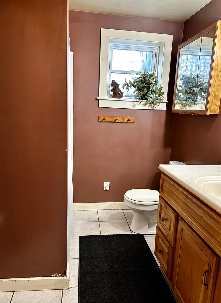 299 Wilbur Road Woodbury VT 05681