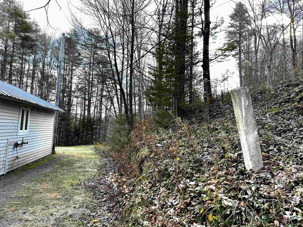 299 Wilbur Road Woodbury VT 05681