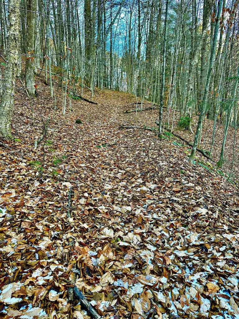 299 Wilbur Road Woodbury VT 05681