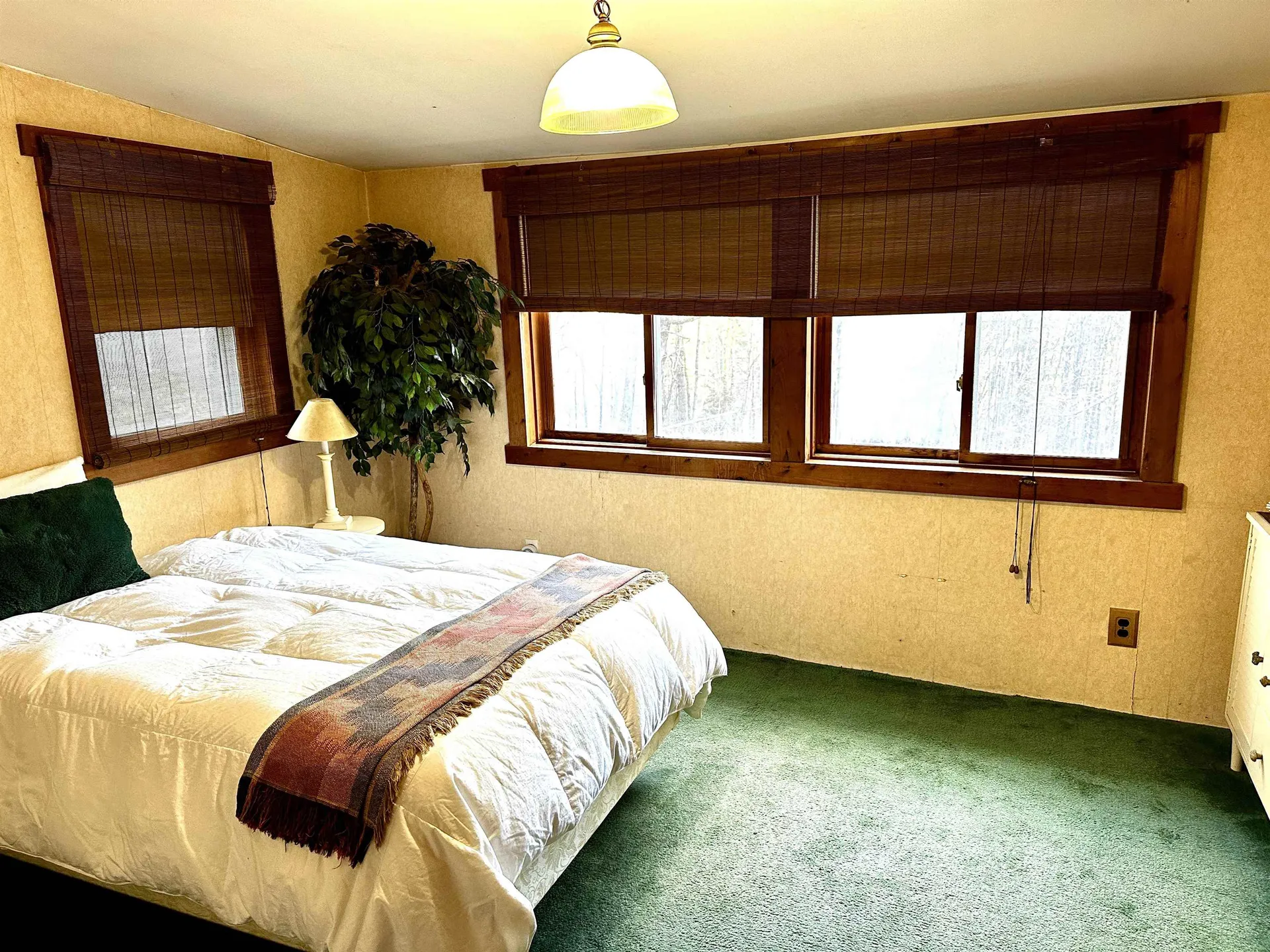 299 Wilbur Road Woodbury VT 05681