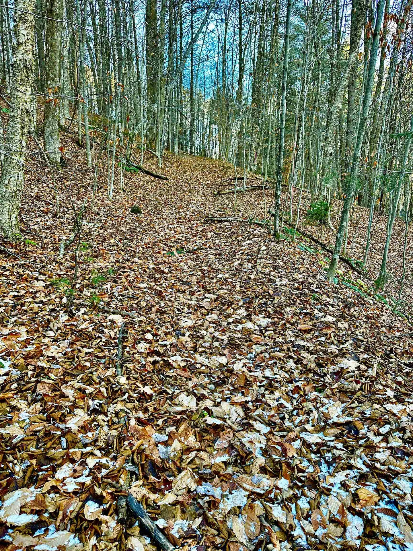 299 Wilbur Road Woodbury VT 05681
