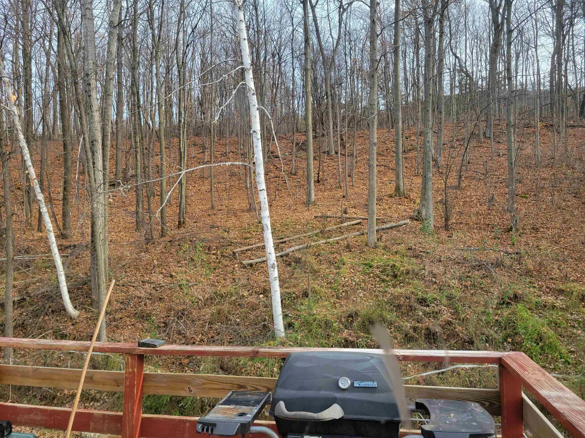 1513 Mountain Road Addison VT 05491