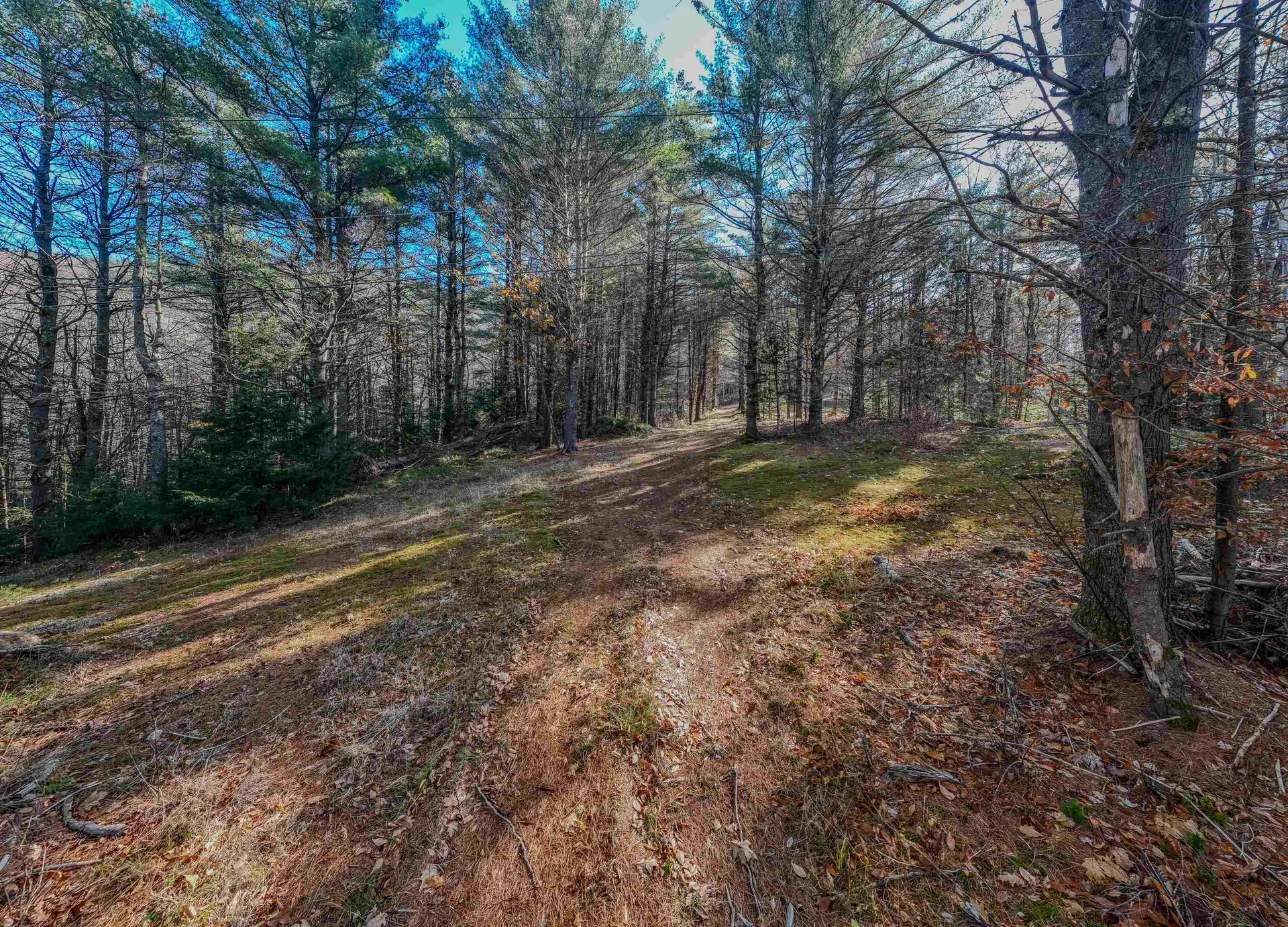 00 Perch Pond Road Holderness NH 03245