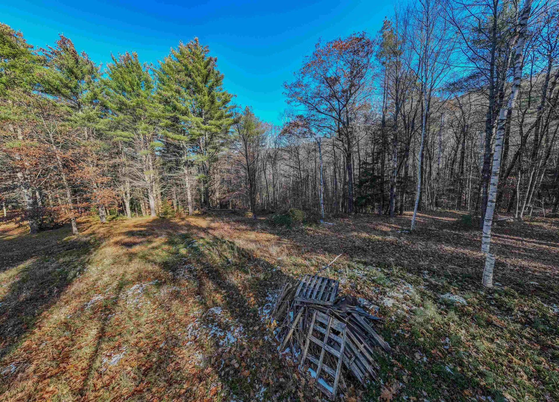 00 Perch Pond Road Holderness NH 03245