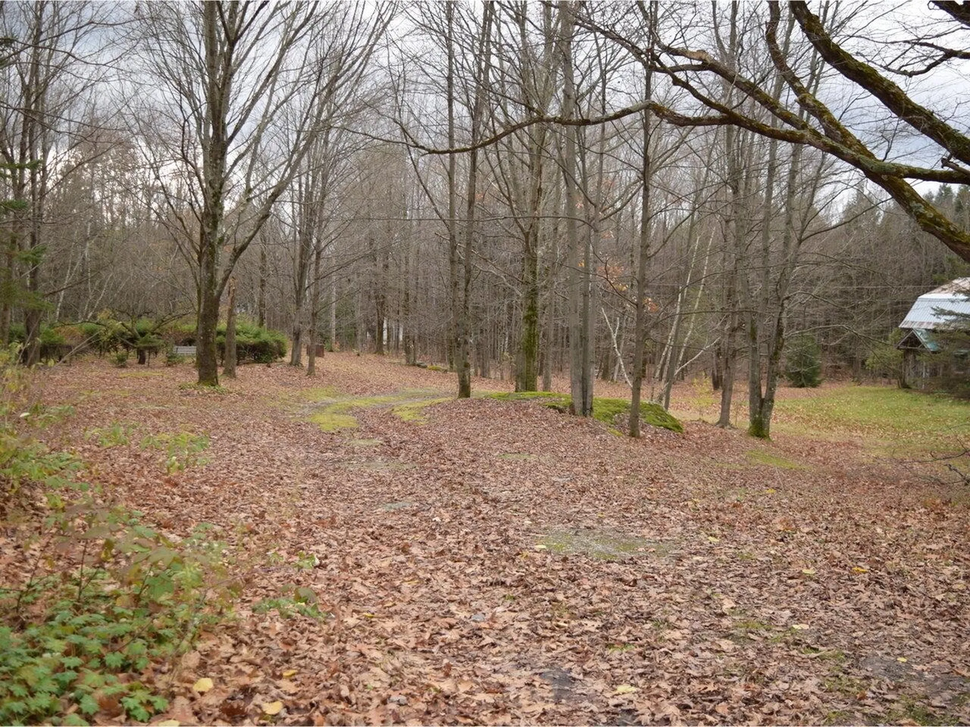 362 Gordy Lane Sheldon VT 05483