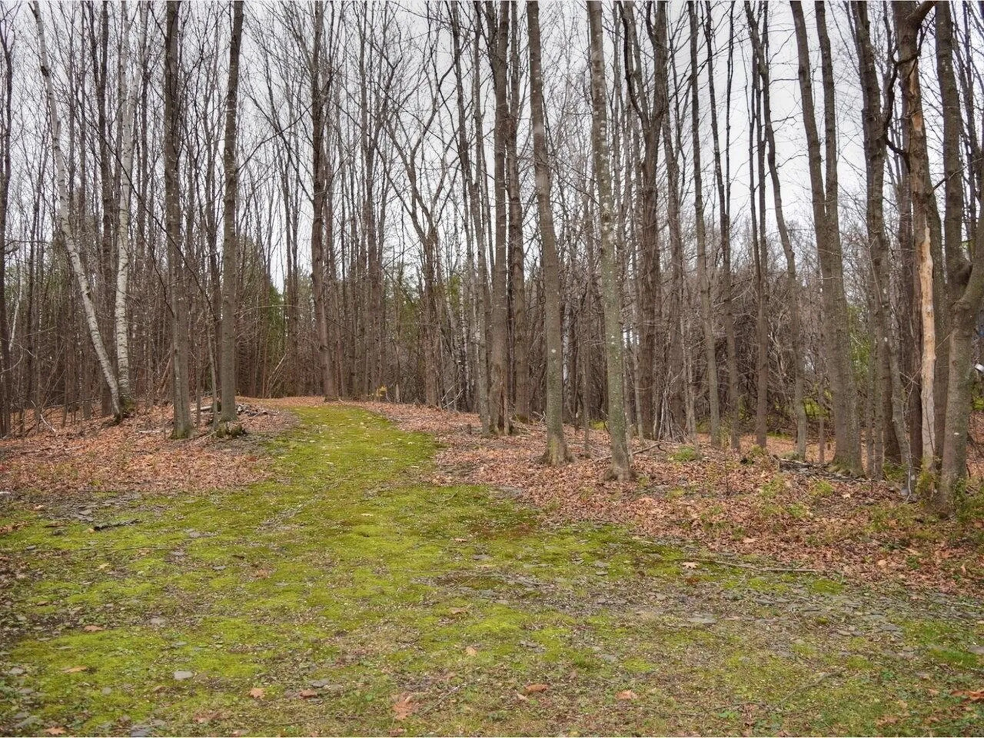 362 Gordy Lane Sheldon VT 05483