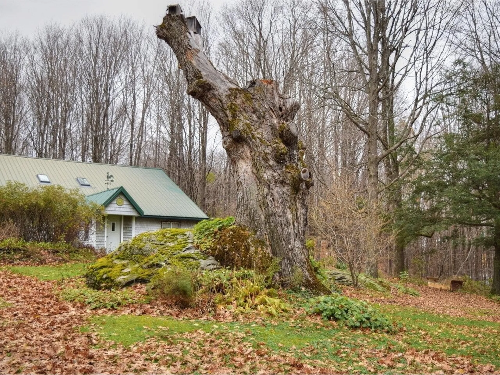 362 Gordy Lane Sheldon VT 05483