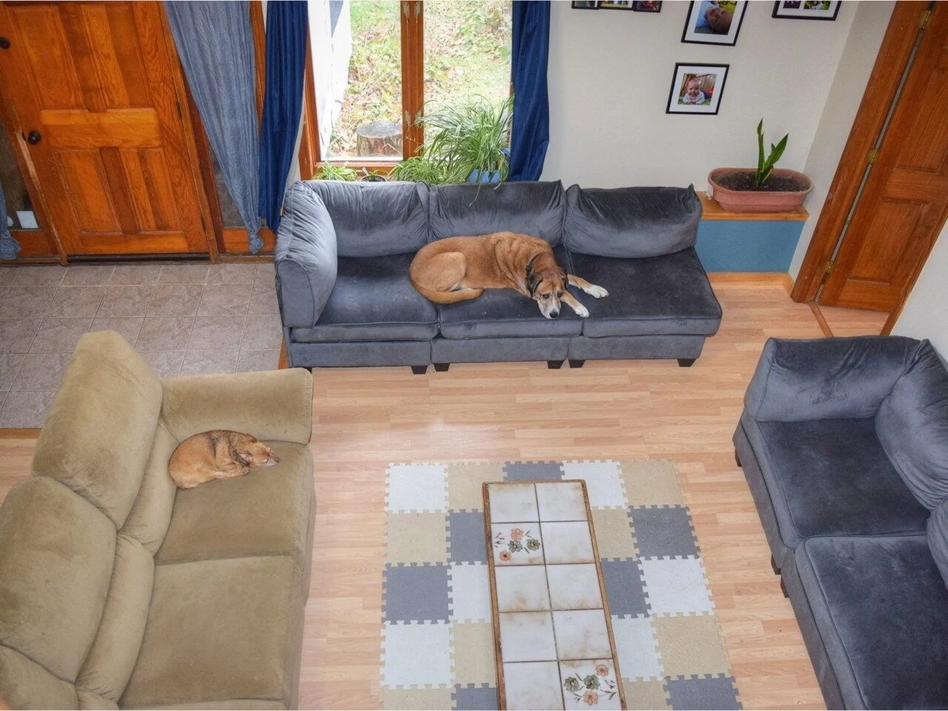 362 Gordy Lane Sheldon VT 05483