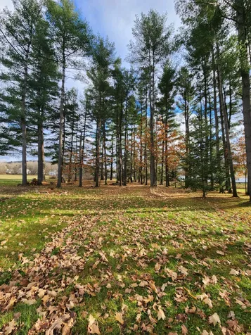 58 Hamilton Place Extension Richford VT 05476