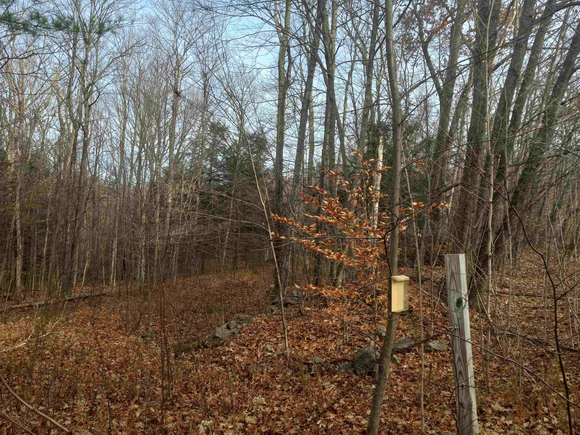 0 Acworth Road Charlestown NH 03603