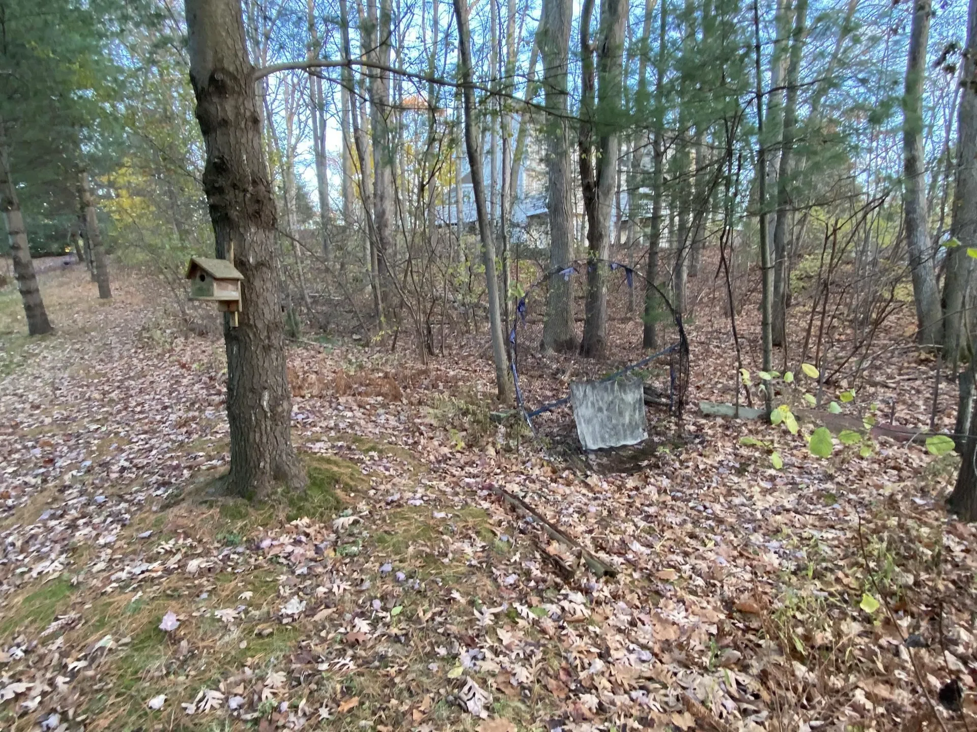 339 Juniper Drive South Burlington VT 05403