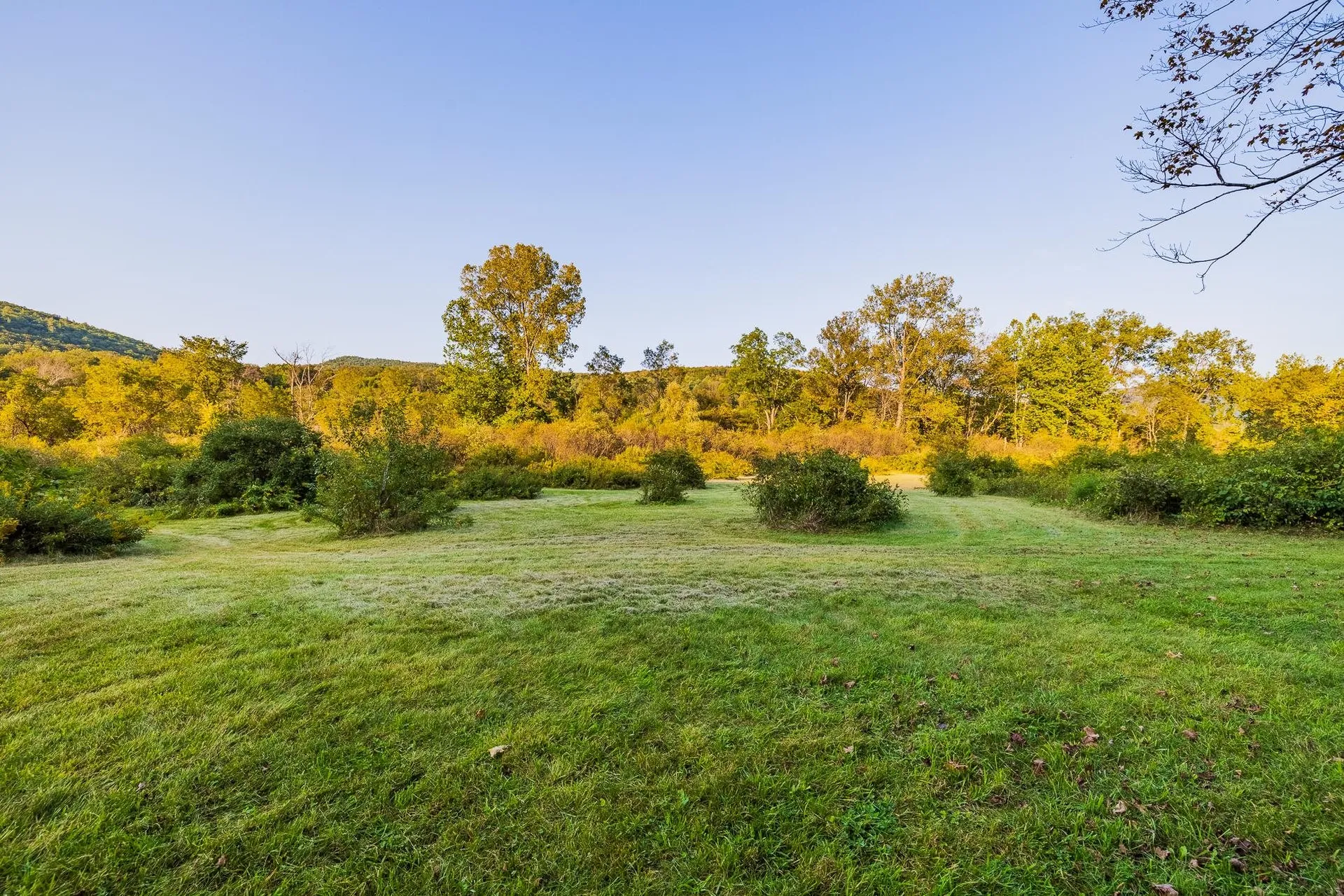 5827 Vt 313 Arlington VT 05250