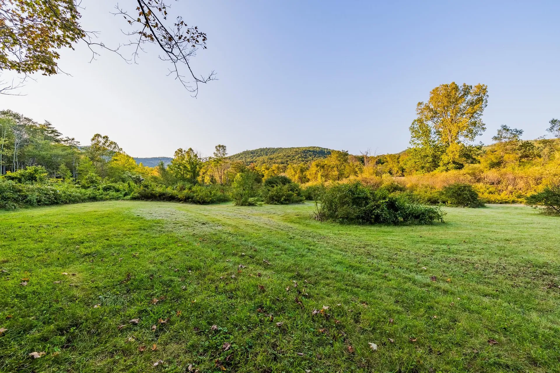 5827 Vt 313 Arlington VT 05250