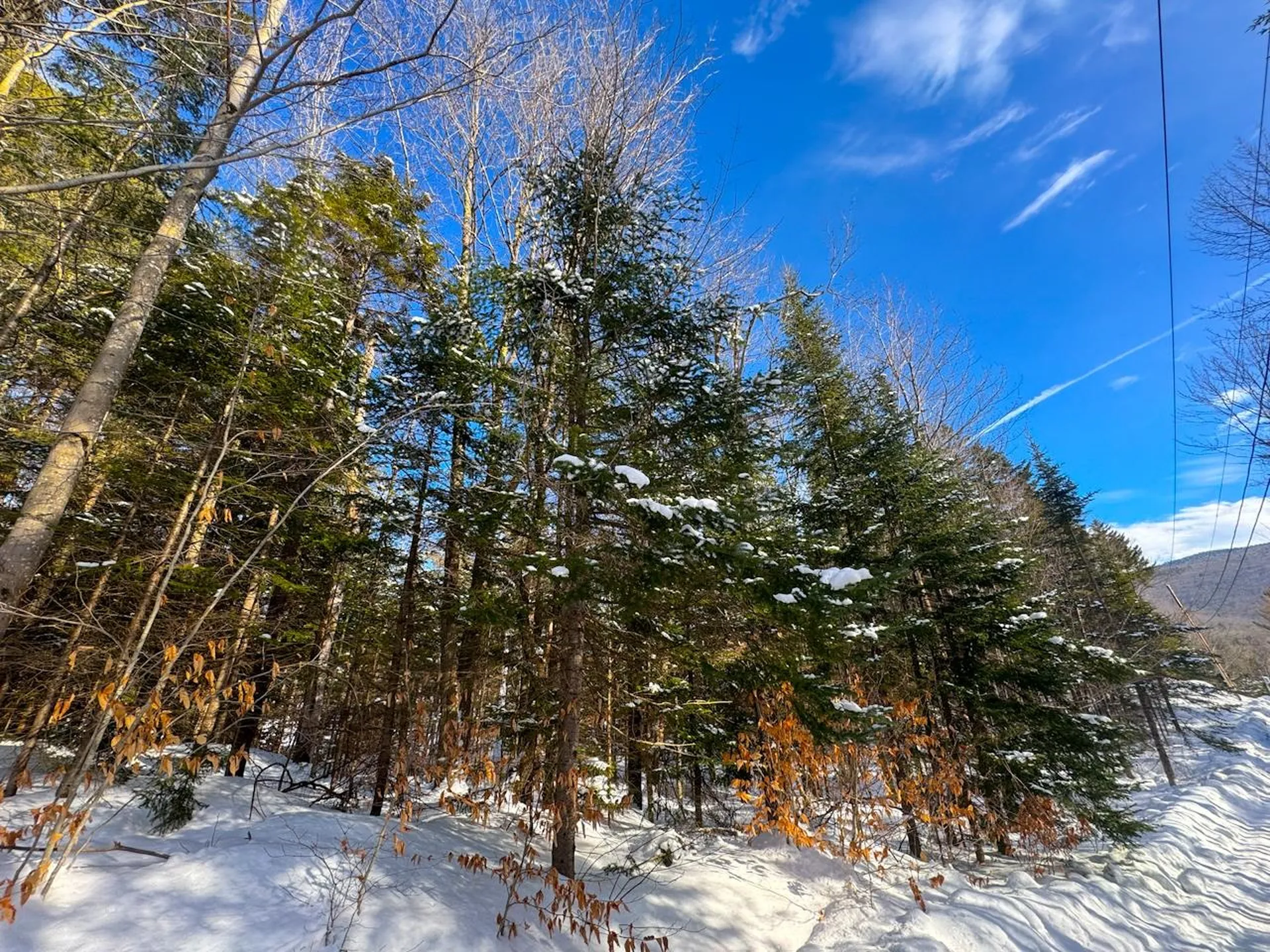 0 Beech Street Warren VT 05674