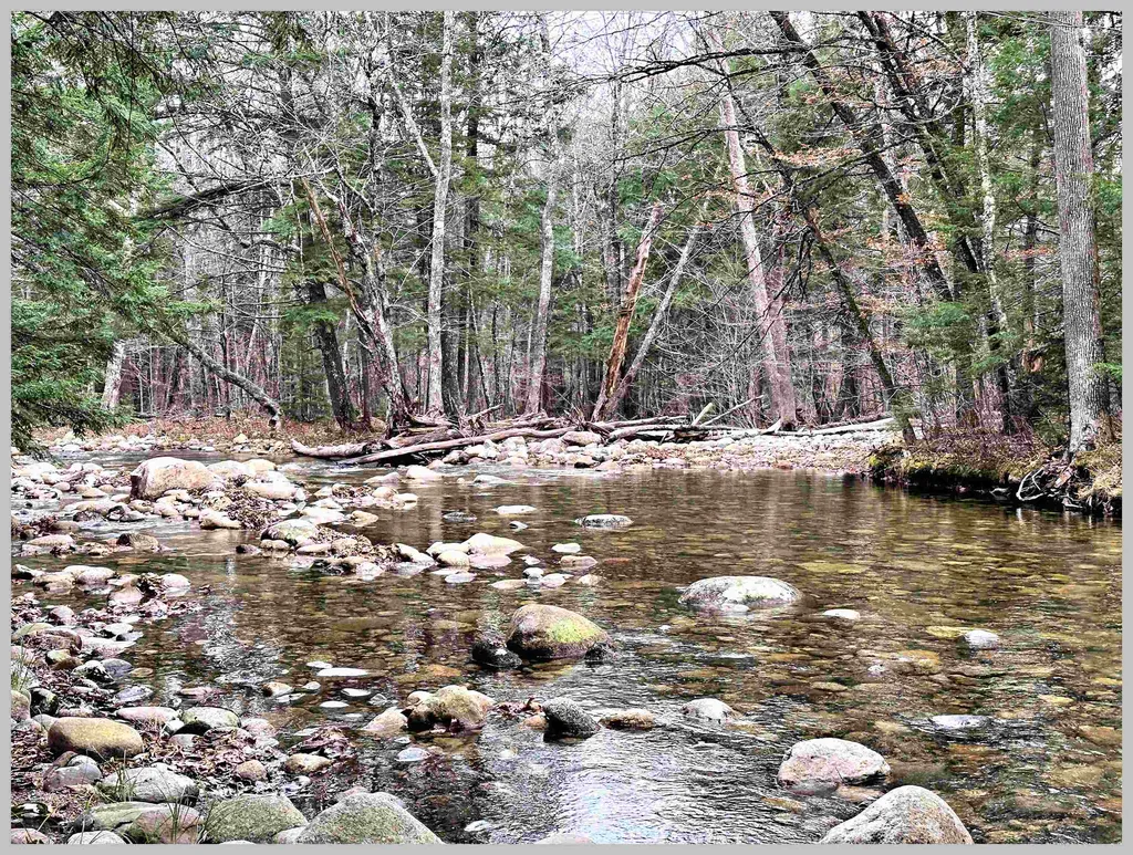 0 Thornton Gore Road Thornton NH 03285