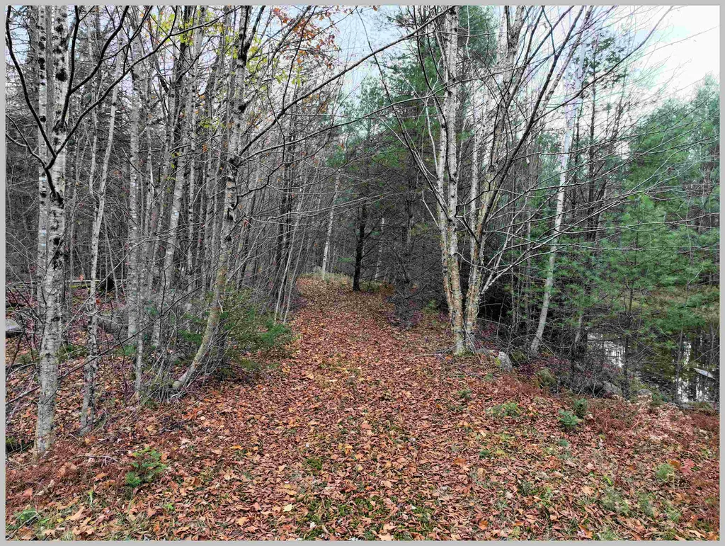 0 Thornton Gore Road Thornton NH 03285