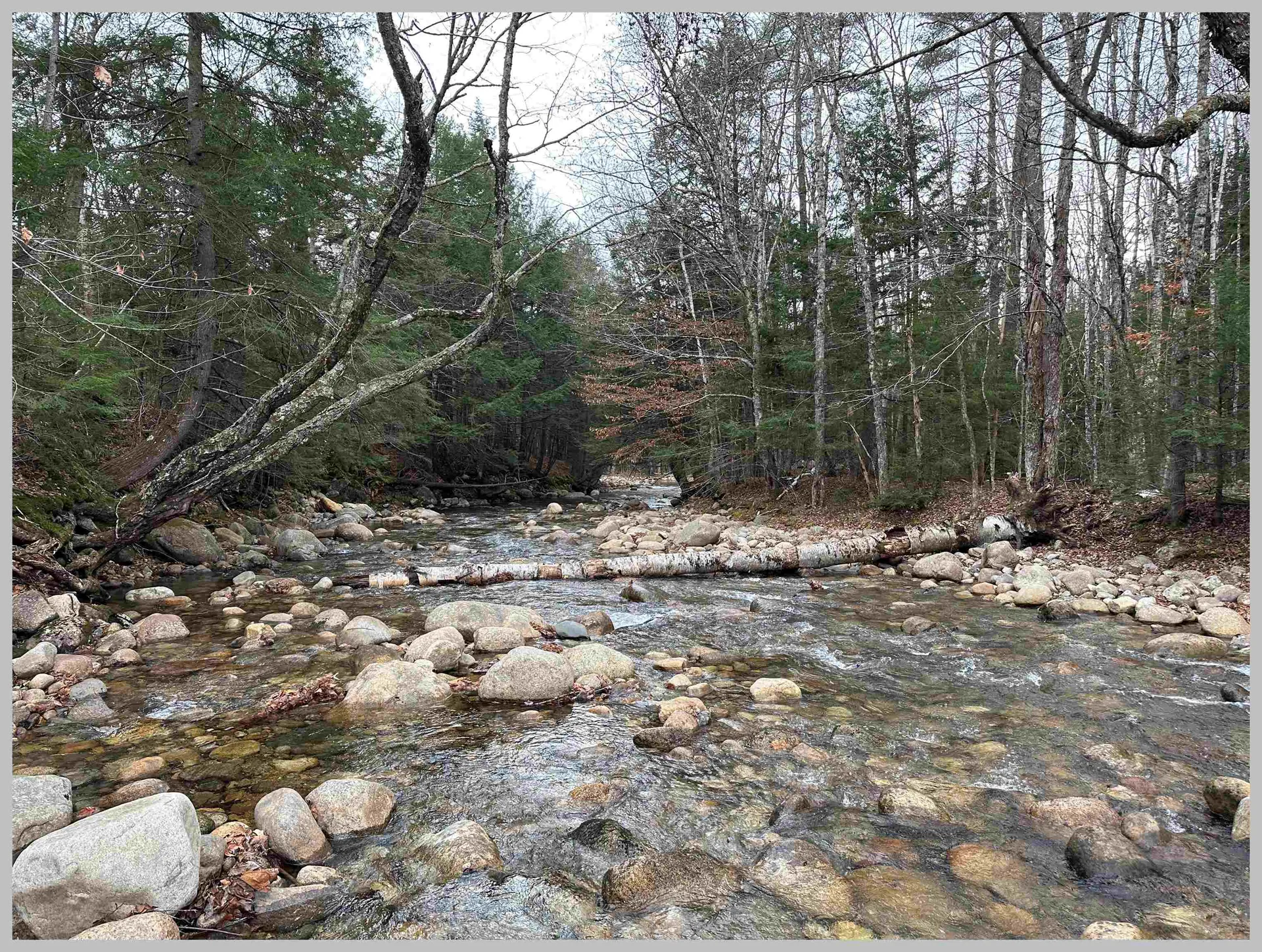 0 Thornton Gore Road Thornton NH 03285