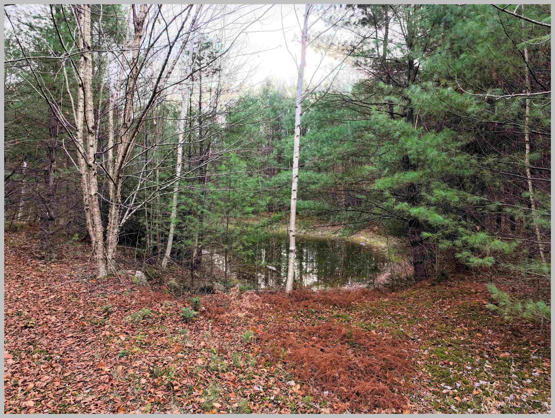 0 Thornton Gore Road Thornton NH 03285