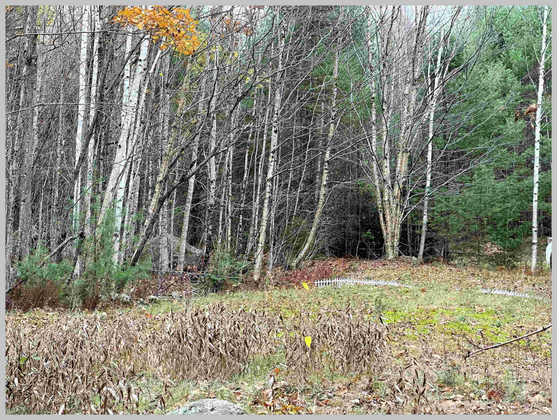 0 Thornton Gore Road Thornton NH 03285