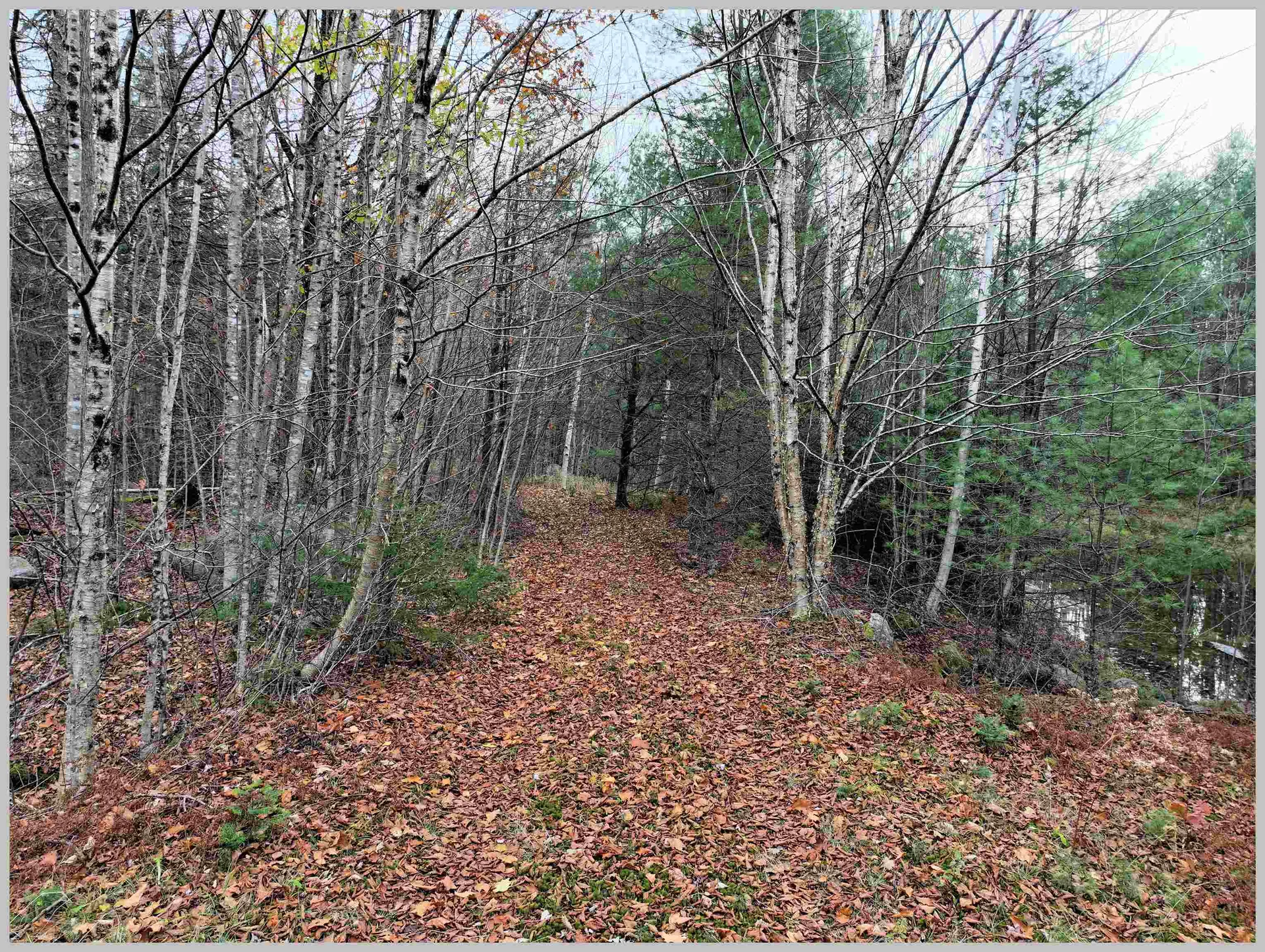 0 Thornton Gore Road Thornton NH 03285
