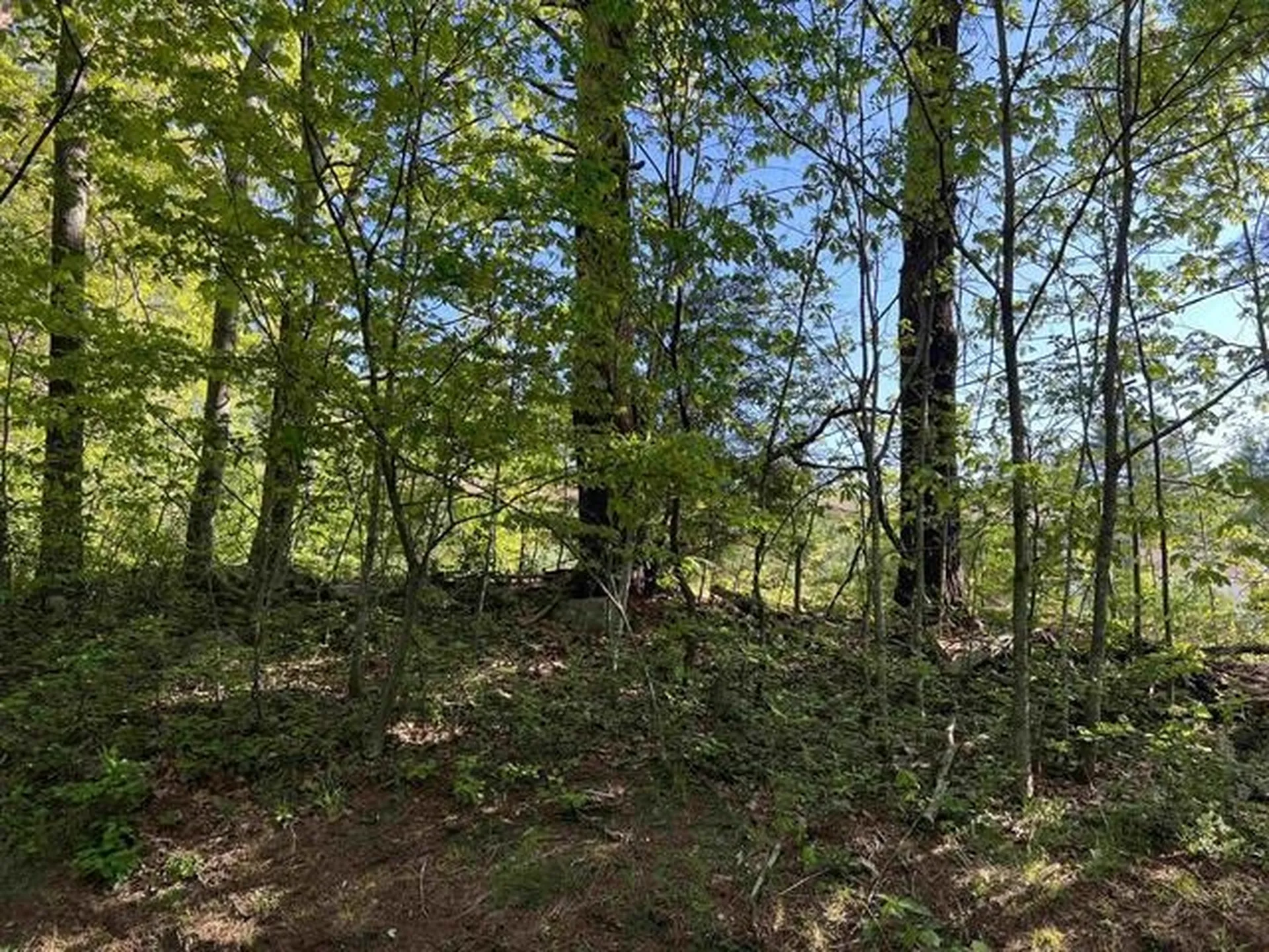 153 Brentwood Road Exeter NH 03833