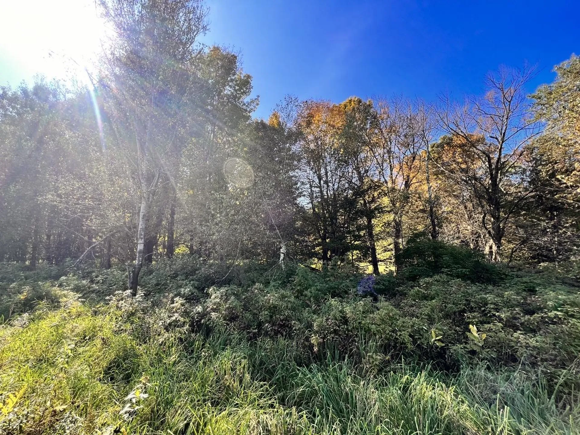 Lot 2.b Reservoir Road Berkshire VT 05450