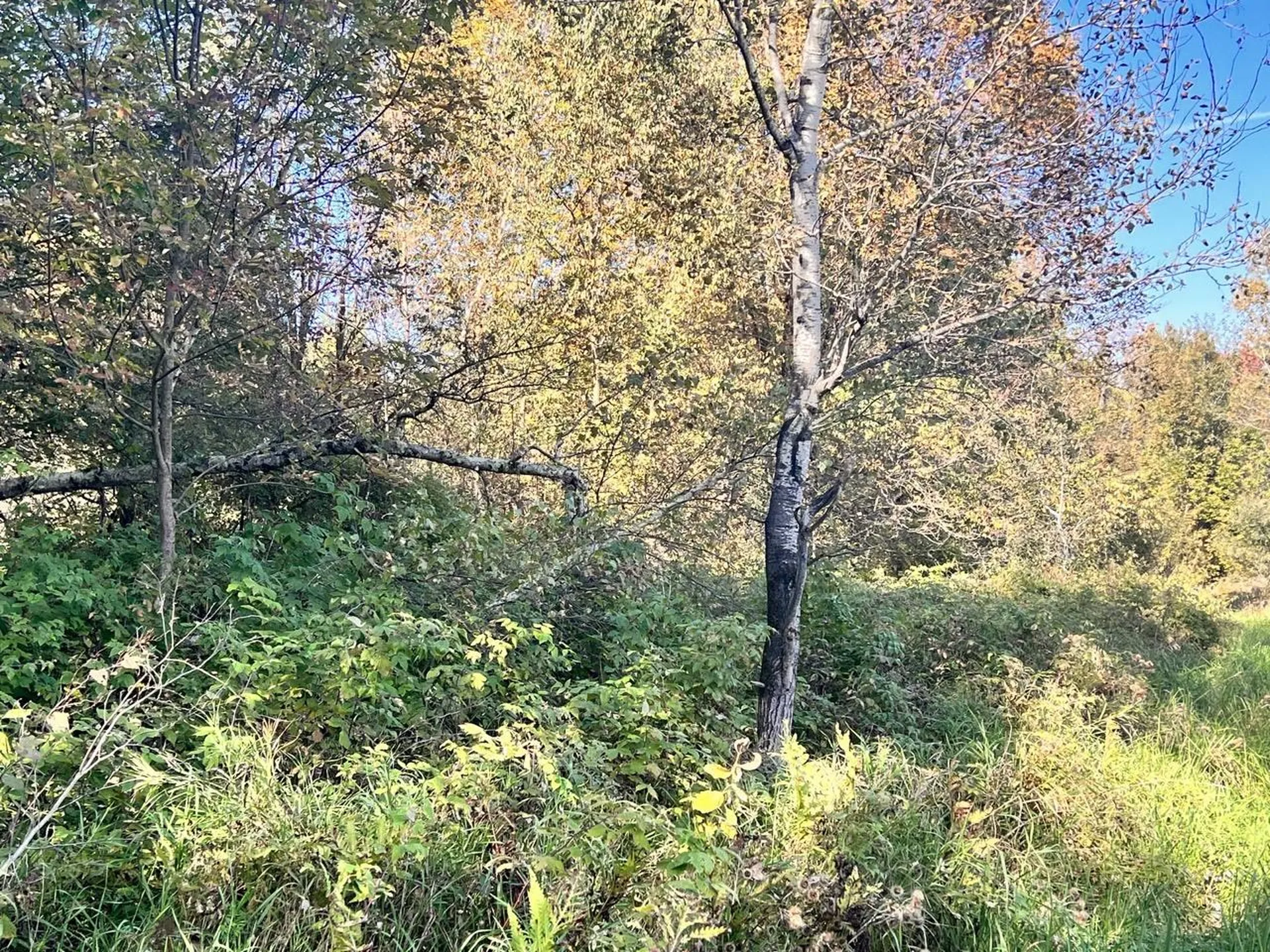 Lot 2.b Reservoir Road Berkshire VT 05450