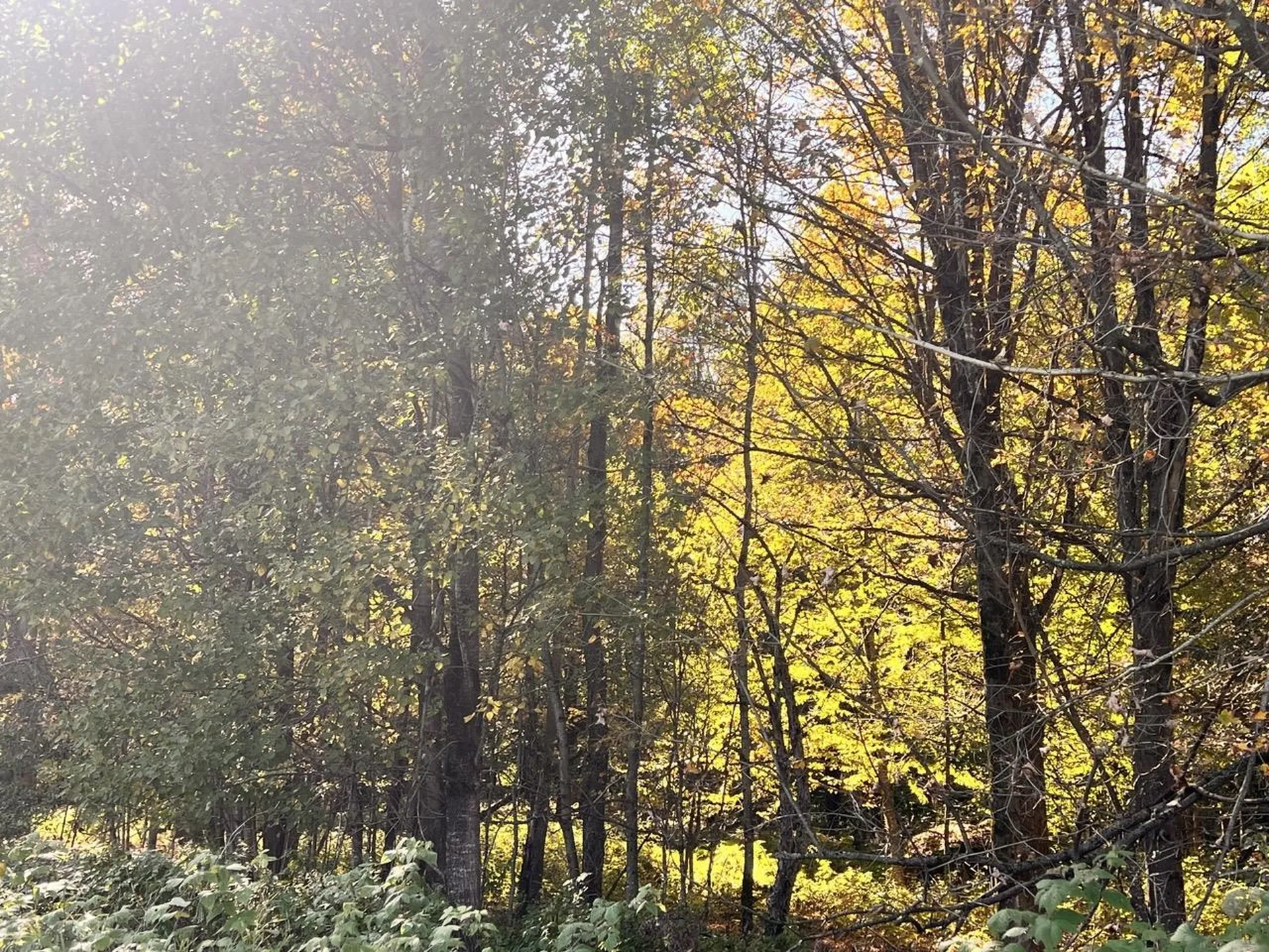 Lot 2.b Reservoir Road Berkshire VT 05450
