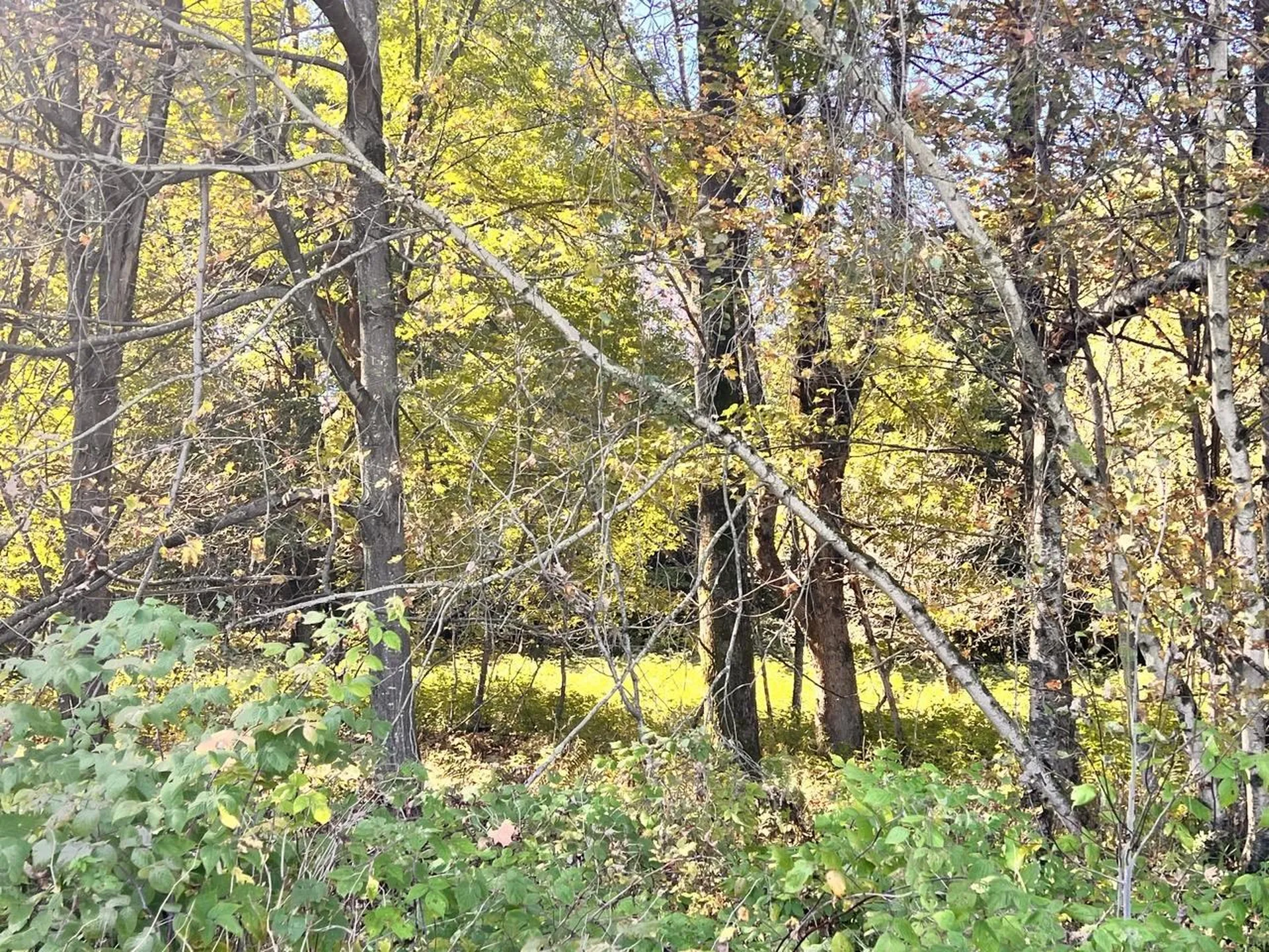 Lot 2.b Reservoir Road Berkshire VT 05450