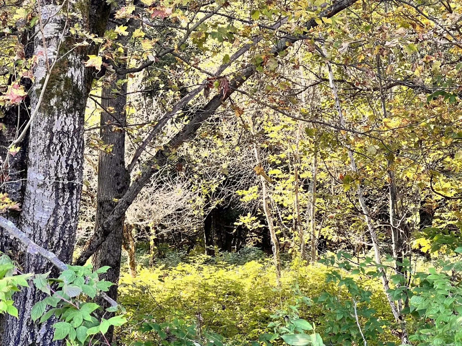 Lot 2.b Reservoir Road Berkshire VT 05450