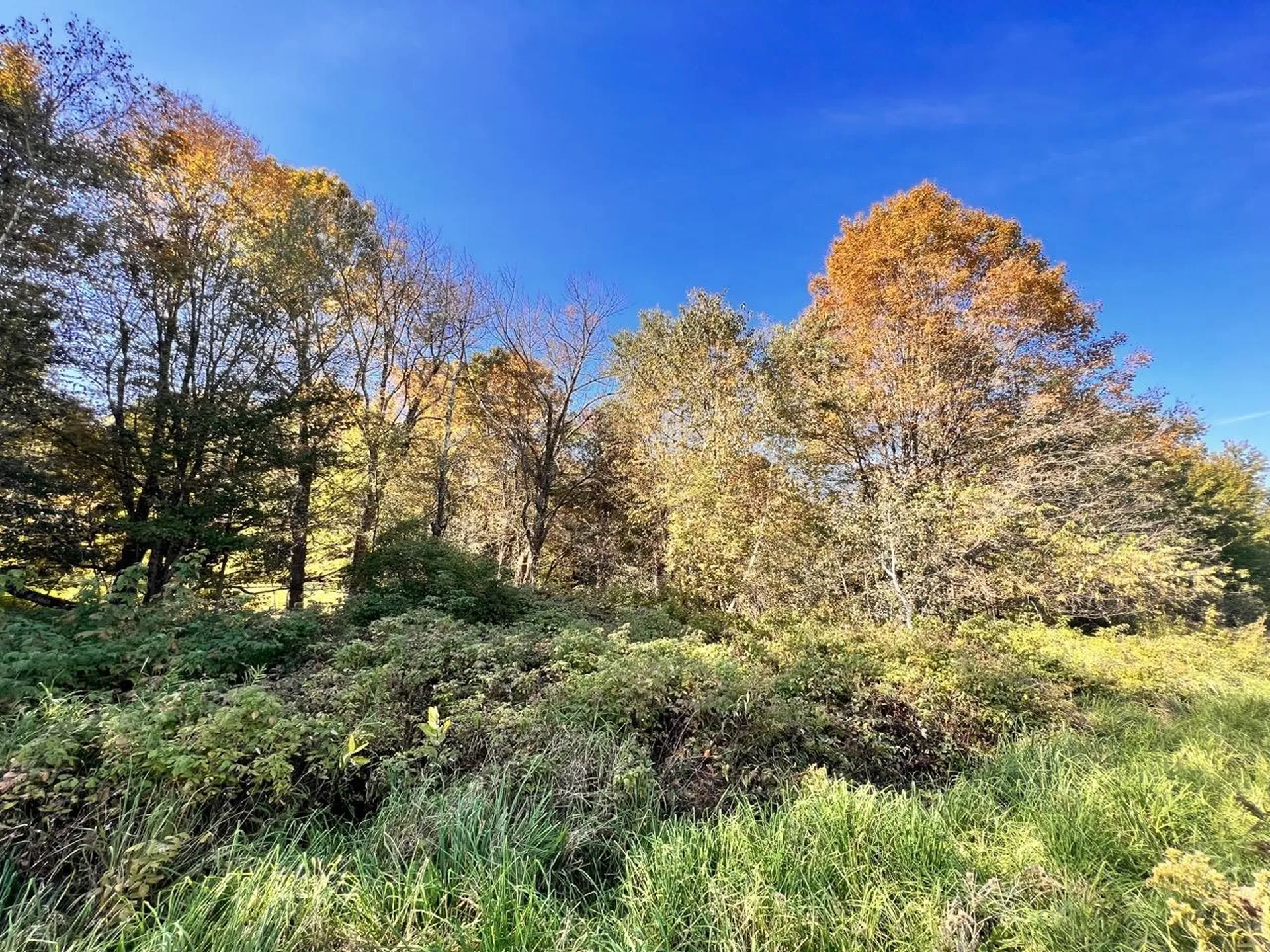 Lot 2.b Reservoir Road Berkshire VT 05450