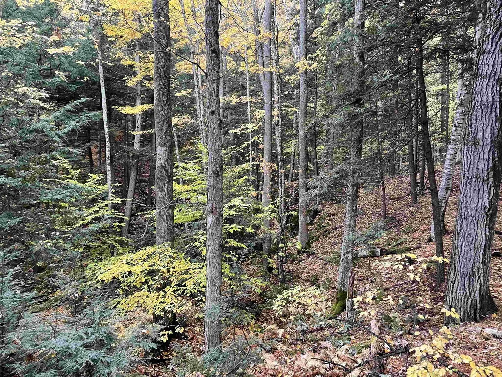 954 Butternut Hill Road Waitsfield VT 05673