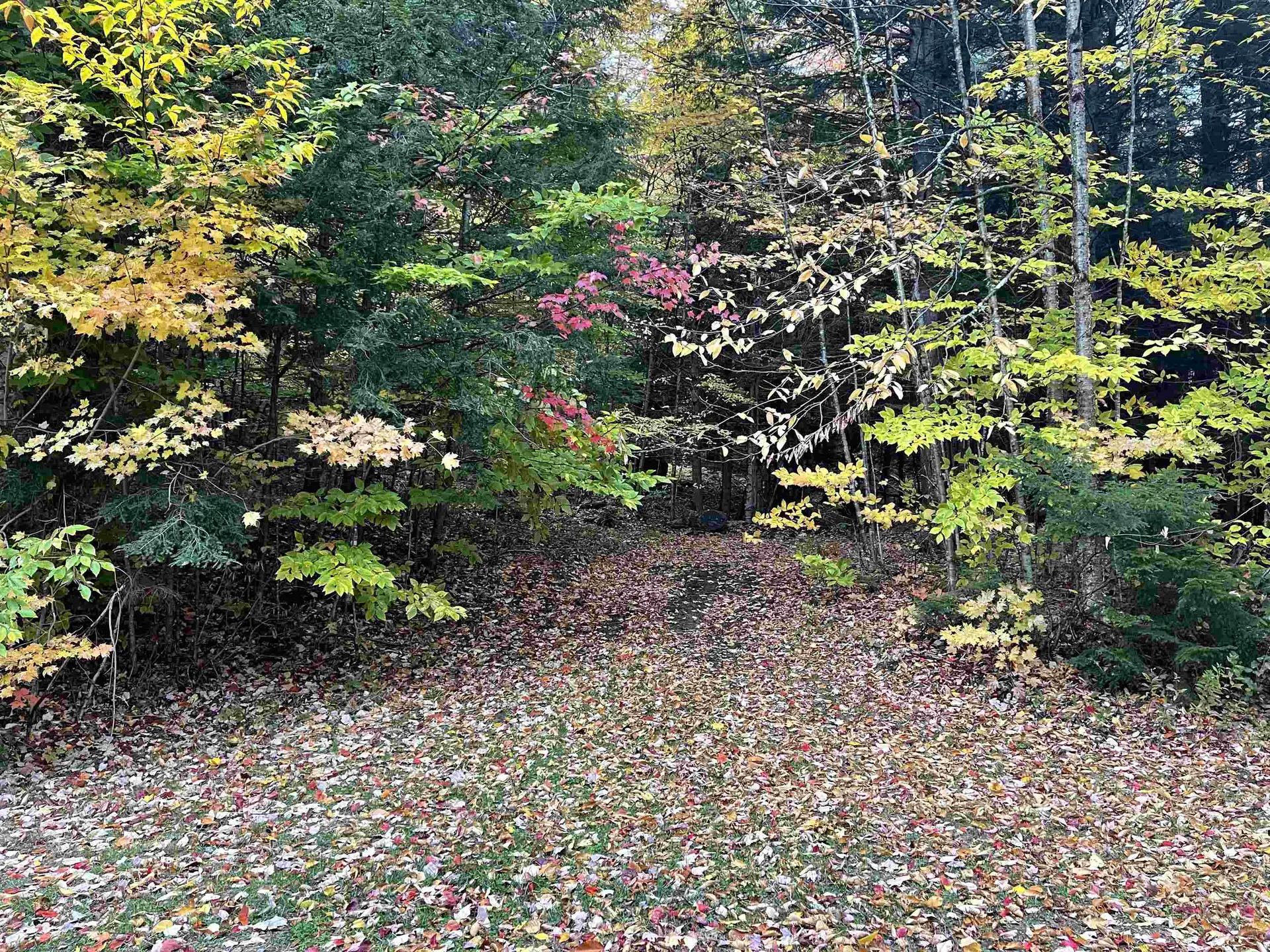 954 Butternut Hill Road Waitsfield VT 05673