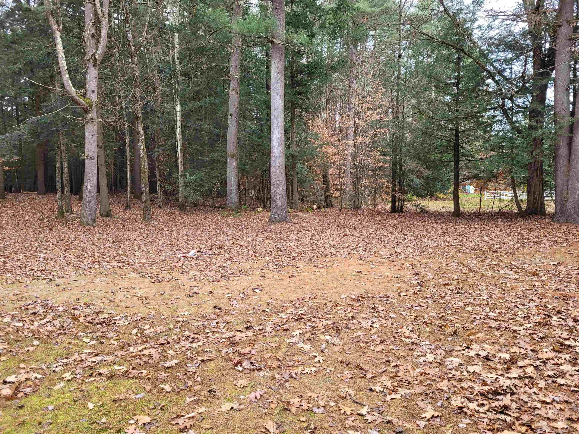 117 Cedarwood Terrace Georgia VT 05478