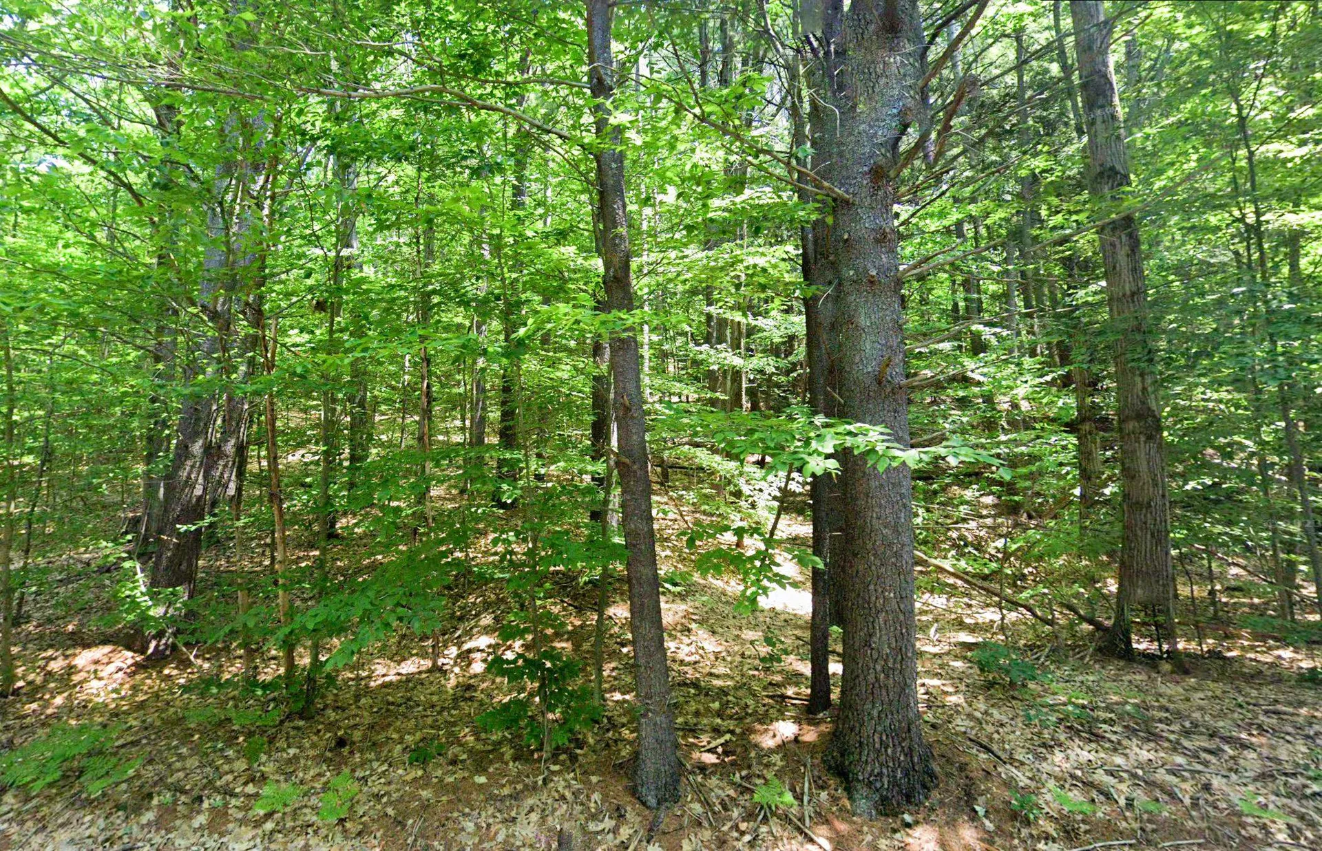 725 Mountain Road Jaffrey NH 03452