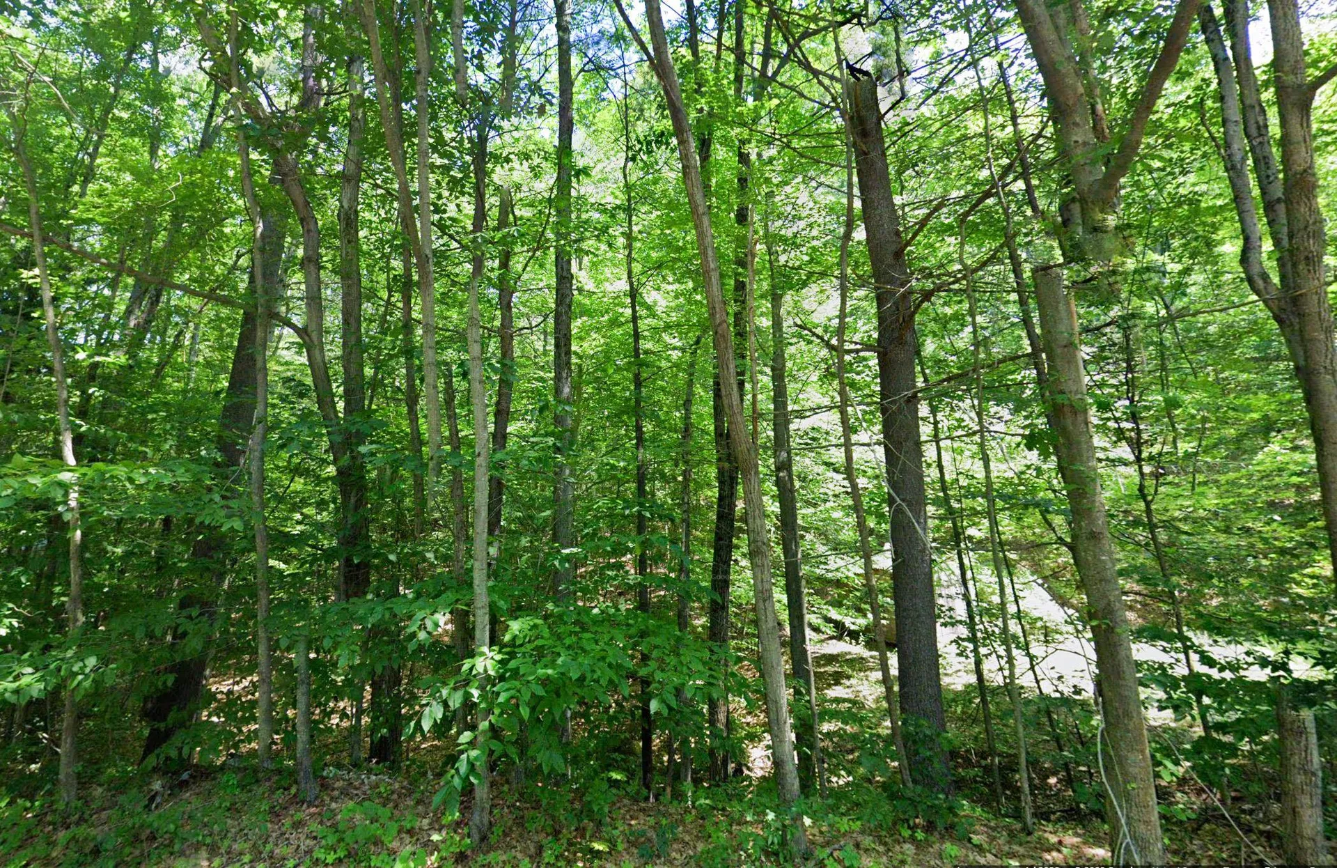 725 Mountain Road Jaffrey NH 03452