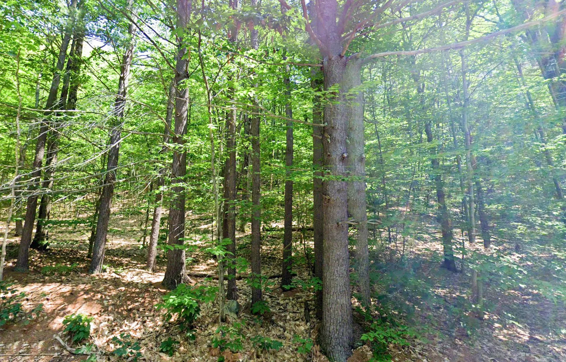 725 Mountain Road Jaffrey NH 03452