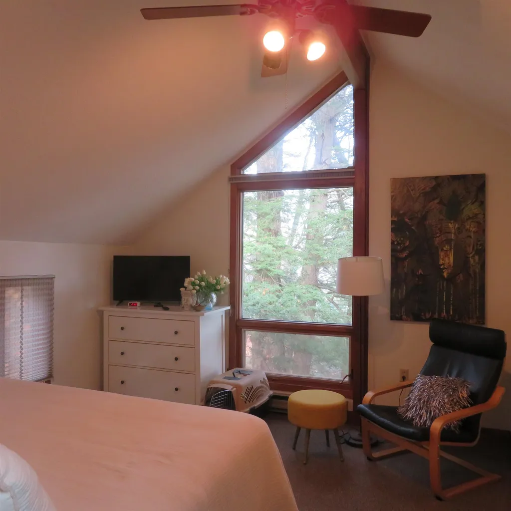 33 Wicwood Shores Road Meredith NH 03253