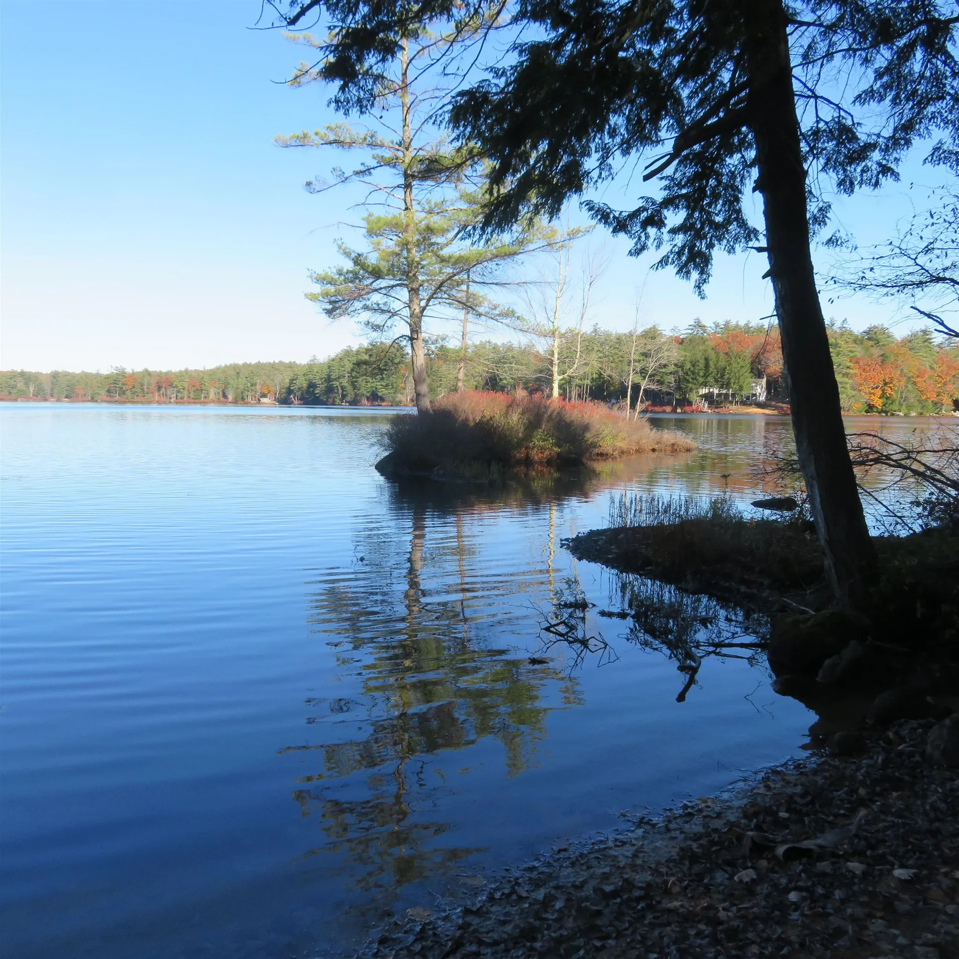 33 Wicwood Shores Road Meredith NH 03253