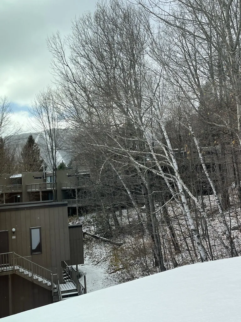 16 Hobbit Hill Warren VT 05674